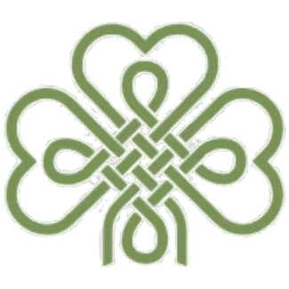 Chinese Business Association of Ireland